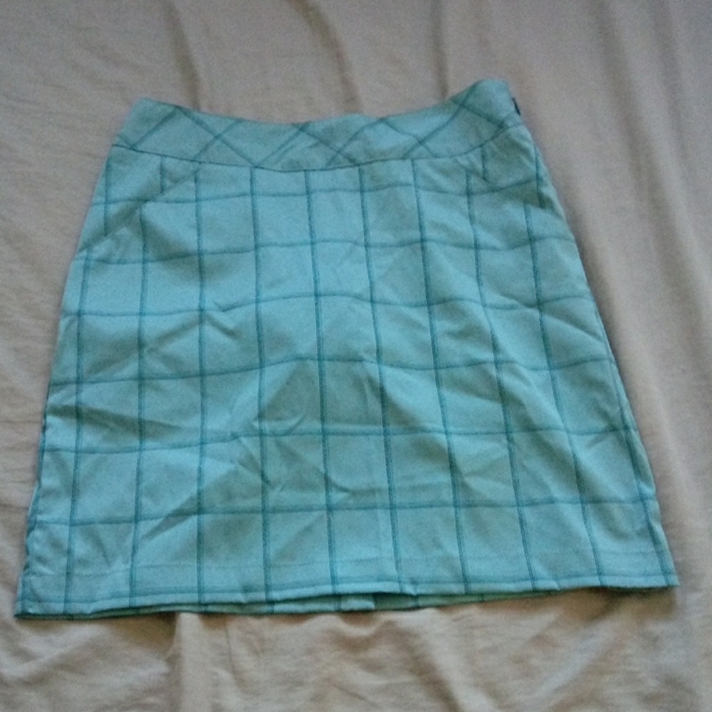 Antigua size 2 blue desert dry skirt
